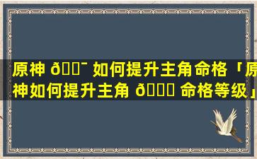 原神 🐯 如何提升主角命格「原神如何提升主角 🐒 命格等级」